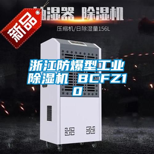 浙江防爆型工業91看片在线下载機 BCFZ10