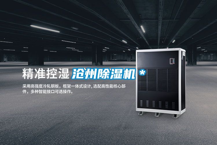 滄州91看片在线下载機＊