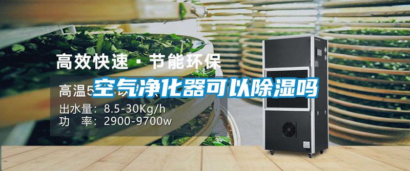 空氣淨化器可以91看片在线下载嗎