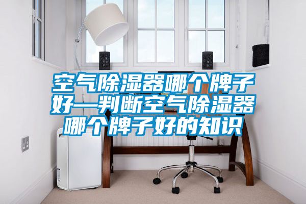 空氣91看片在线下载器哪個牌子好—判斷空氣91看片在线下载器哪個牌子好的知識