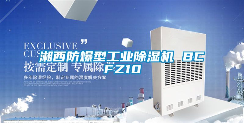 湘西防爆型工業91看片在线下载機 BCFZ10