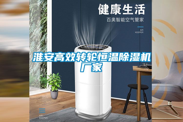 淮安高效轉輪恒溫91看片在线下载機廠家