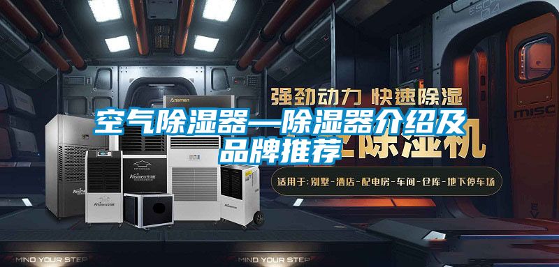 空氣91看片在线下载器—91看片在线下载器介紹及品牌推薦
