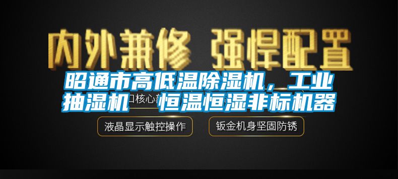 昭通市高低溫91看片在线下载機，工業抽濕機  恒溫恒濕非標機器