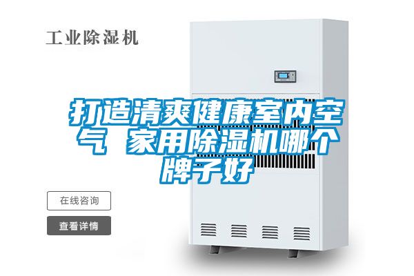 打造清爽健康室內空氣 家用91看片在线下载機哪個牌子好