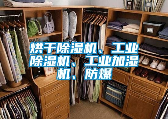 烘幹91看片在线下载機、工業91看片在线下载機、工業加濕機、防爆