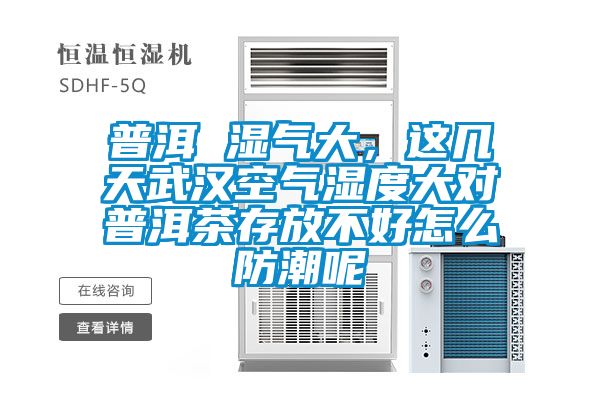 普洱 濕氣大，這幾天武漢空氣濕度大對普洱茶存放不好怎麽防潮呢