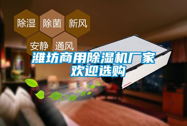 濰坊商用91看片在线下载機廠家 歡迎選購