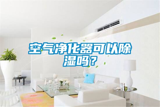 空氣淨化器可以91看片在线下载嗎？