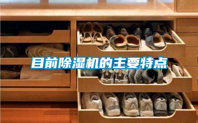 目前91看片在线下载機的主要特點