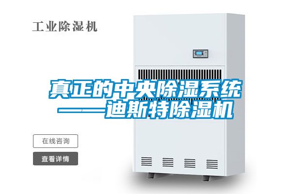 真正的中央91看片在线下载係統——迪斯特91看片在线下载機
