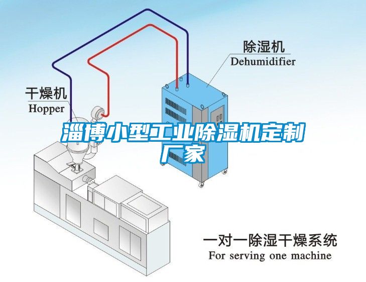 淄博小型工業91看片在线下载機定製廠家