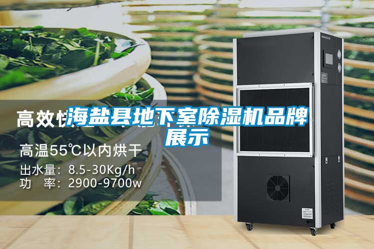 海鹽縣地下室91看片在线下载機品牌展示
