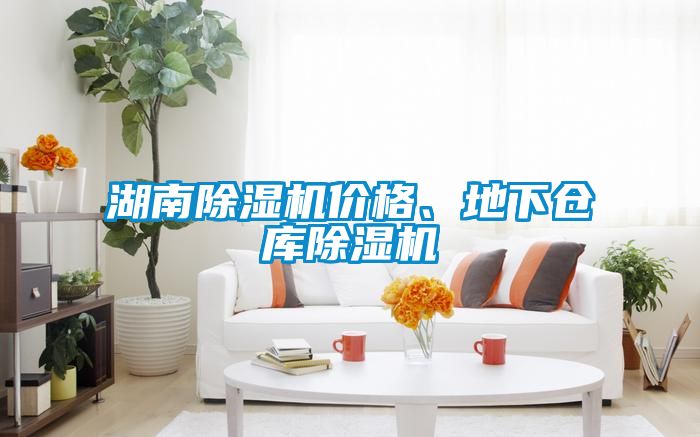 湖南91看片在线下载機價格、地下倉庫91看片在线下载機