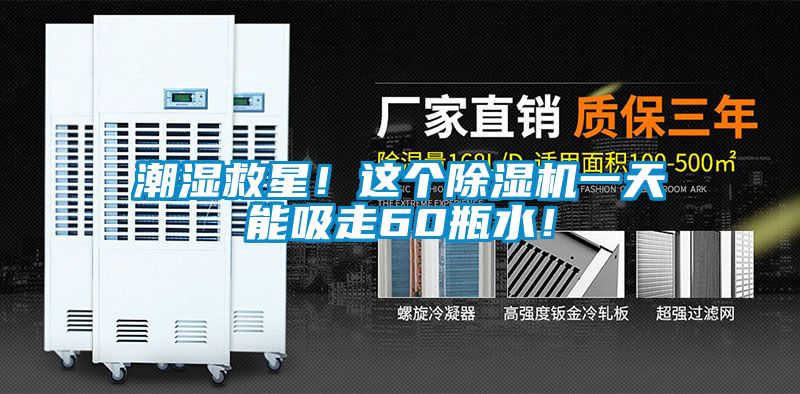 潮濕救星！這個91看片在线下载機一天能吸走60瓶水！