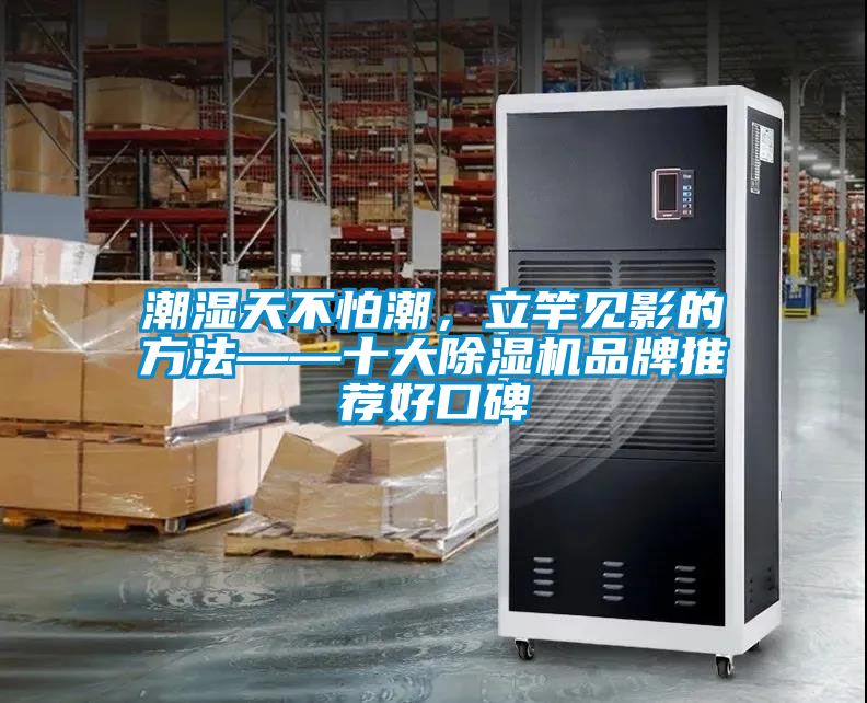 潮濕天不怕潮，立竿見影的方法——十大91看片在线下载機品牌推薦好口碑