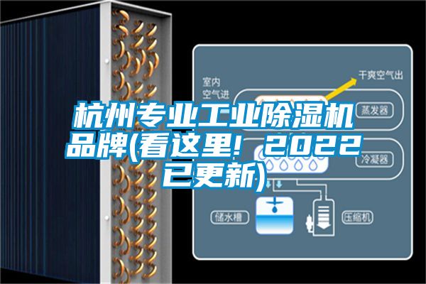 杭州專業工業91看片在线下载機品牌(看這裏! 2022已更新)