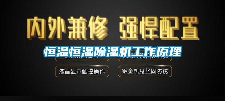 恒溫恒濕91看片在线下载機工作原理