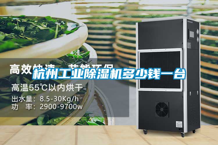 杭州工業91看片在线下载機多少錢一台
