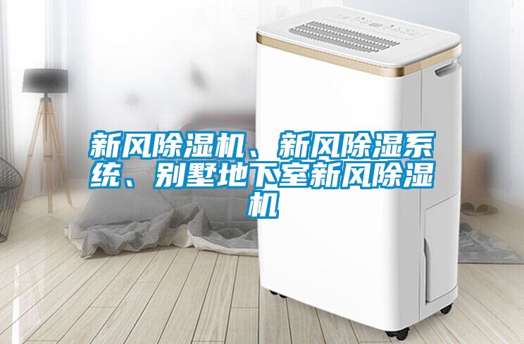 新風91看片在线下载機、新風91看片在线下载係統、別墅地下室新風91看片在线下载機