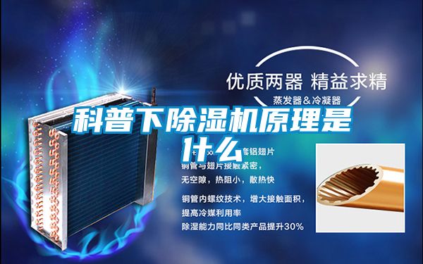 科普下91看片在线下载機原理是什麽