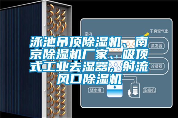 泳池吊頂91看片在线下载機、南京91看片在线下载機廠家、吸頂式工業去濕器，射流風口91看片在线下载機