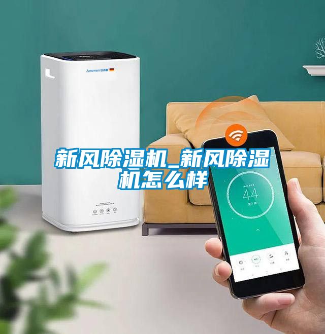 新風91看片在线下载機_新風91看片在线下载機怎麽樣