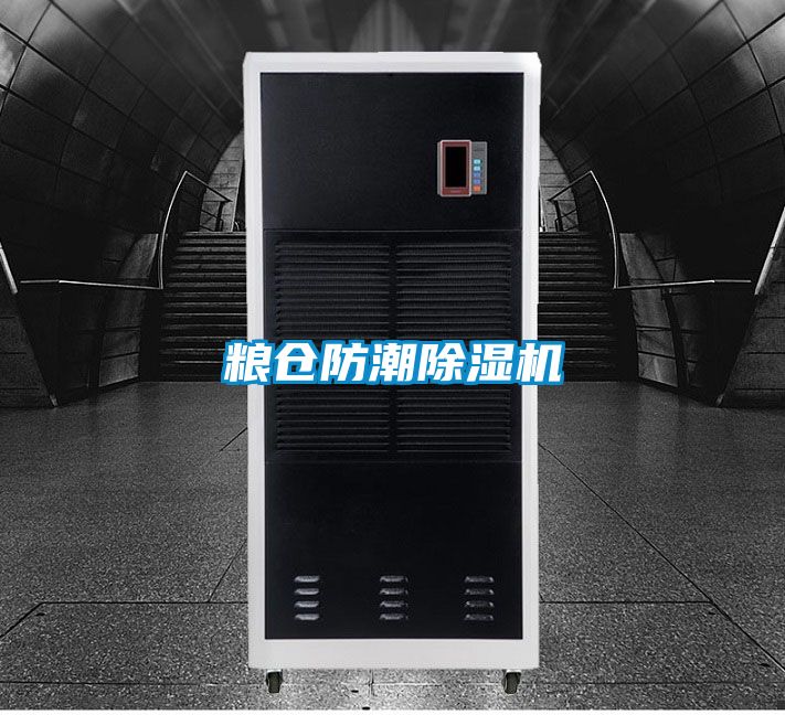 糧倉防潮91看片在线下载機