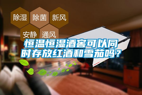恒溫恒濕酒窖可以同時存放紅酒和雪茄嗎？