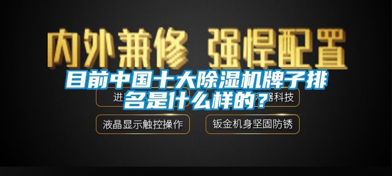 目前中國十大91看片在线下载機牌子排名是什麽樣的？