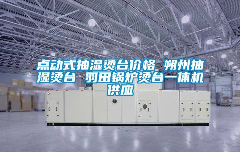 點動式抽濕燙台價格 朔州抽濕燙台 羽田鍋爐燙台一體機供應