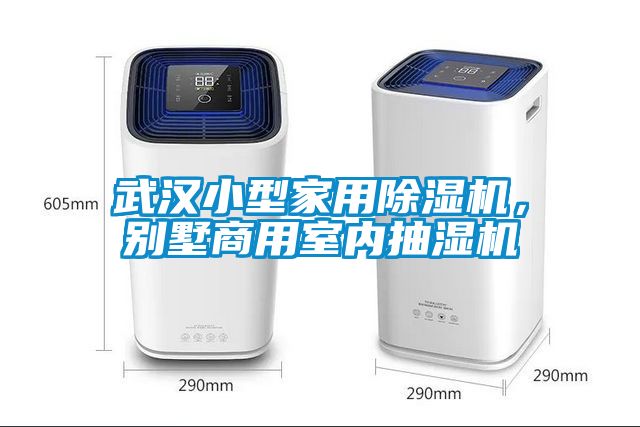武漢小型家用91看片在线下载機，別墅商用室內抽濕機