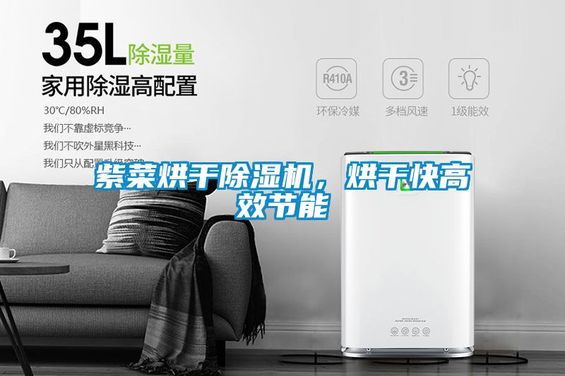紫菜烘幹91看片在线下载機，烘幹快高效節能