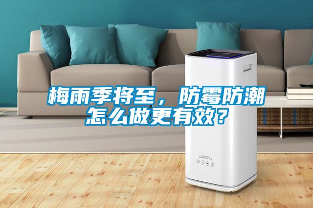 梅雨季將至，防黴防潮怎麽做更有效？