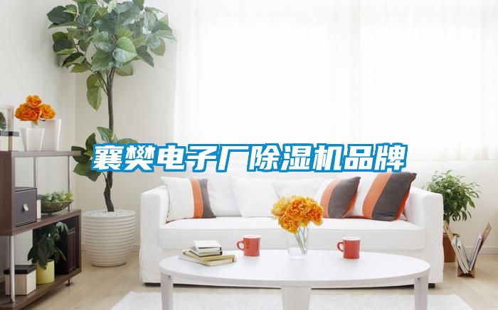 襄樊電子廠91看片在线下载機品牌