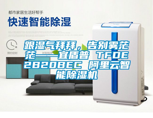 跟濕氣拜拜，告別霧茫茫——宜盾普 TFDE2B20BEC 阿裏雲智能91看片在线下载機