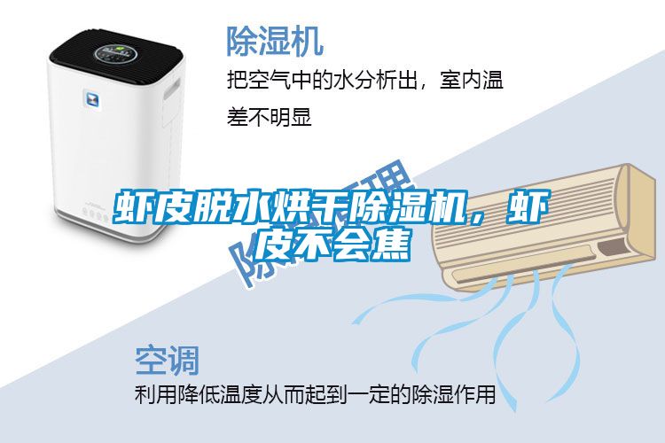 蝦皮脫水烘幹91看片在线下载機，蝦皮不會焦