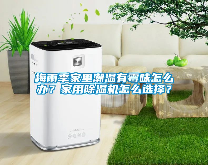 梅雨季家裏潮濕有黴味怎麽辦？家用91看片在线下载機怎麽選擇？