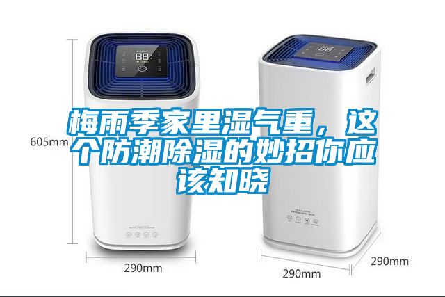 梅雨季家裏濕氣重，這個防潮91看片在线下载的妙招你應該知曉