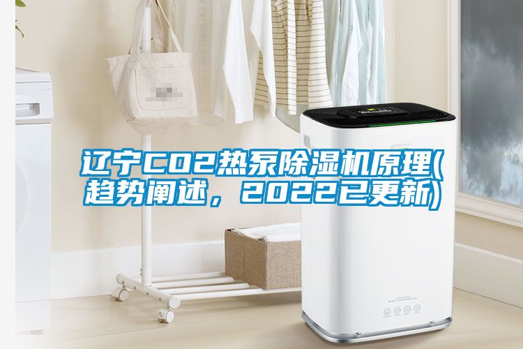 遼寧CO2熱泵91看片在线下载機原理(趨勢闡述，2022已更新)