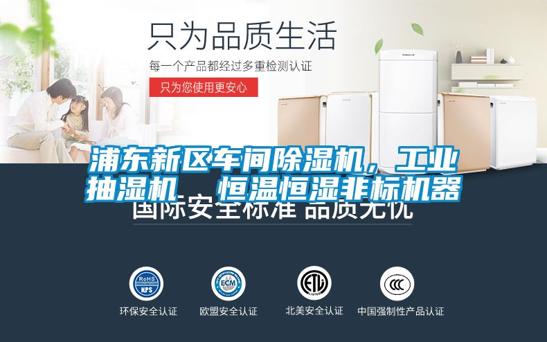 浦東新區車間91看片在线下载機，工業抽濕機  恒溫恒濕非標機器