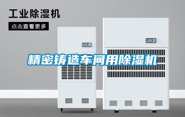 精密鑄造車間用91看片在线下载機