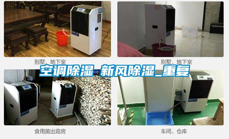 空調91看片在线下载≠新風91看片在线下载_重複