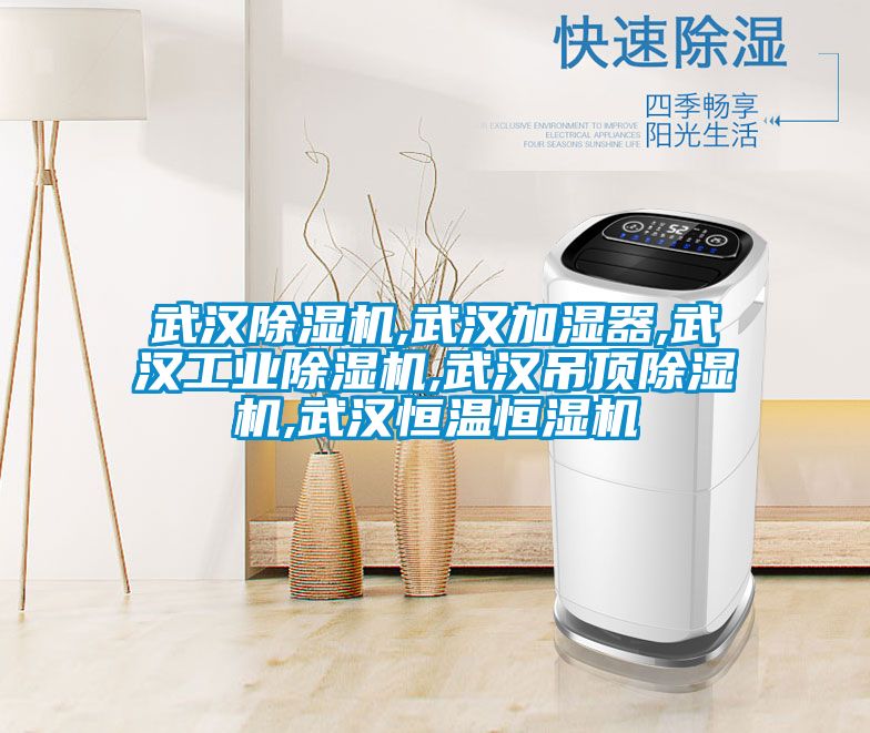 武漢91看片在线下载機,武漢加濕器,武漢工業91看片在线下载機,武漢吊頂91看片在线下载機,武漢恒溫恒濕機