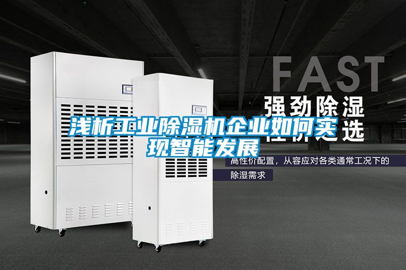 淺析工業91看片在线下载機企業如何實現智能發展