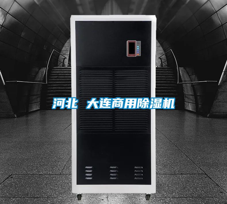 河北 大連商用91看片在线下载機