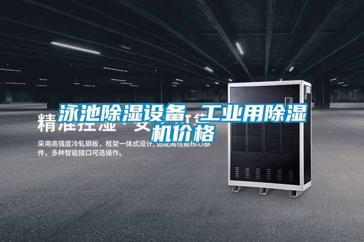 泳池91看片在线下载設備 工業用91看片在线下载機價格