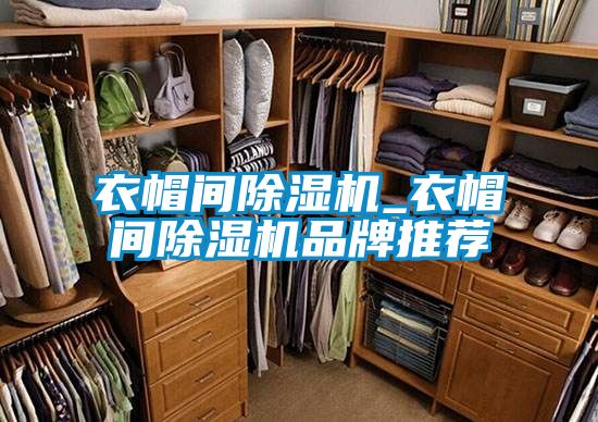 衣帽間91看片在线下载機_衣帽間91看片在线下载機品牌推薦