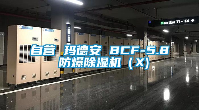 自營 瑪德安 BCF-5.8 防爆91看片在线下载機（X)