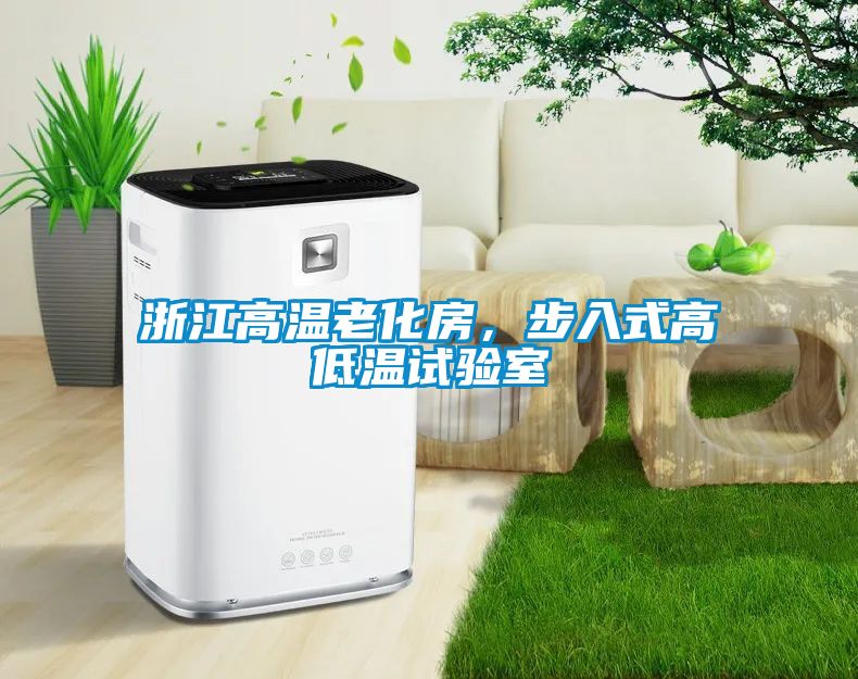 浙江高溫老化房，步入式高低溫試驗室
